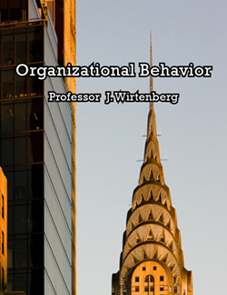 Organizational Behavior (Wirtenberg) paperback