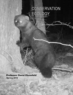 Conservation Ecology 2010
