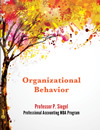 Organizational Behavior 2013 for Professional Accounting Students