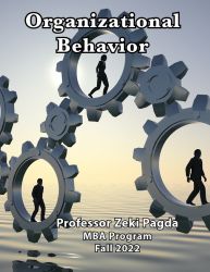 Organizational Behavior (Pagda) Print
